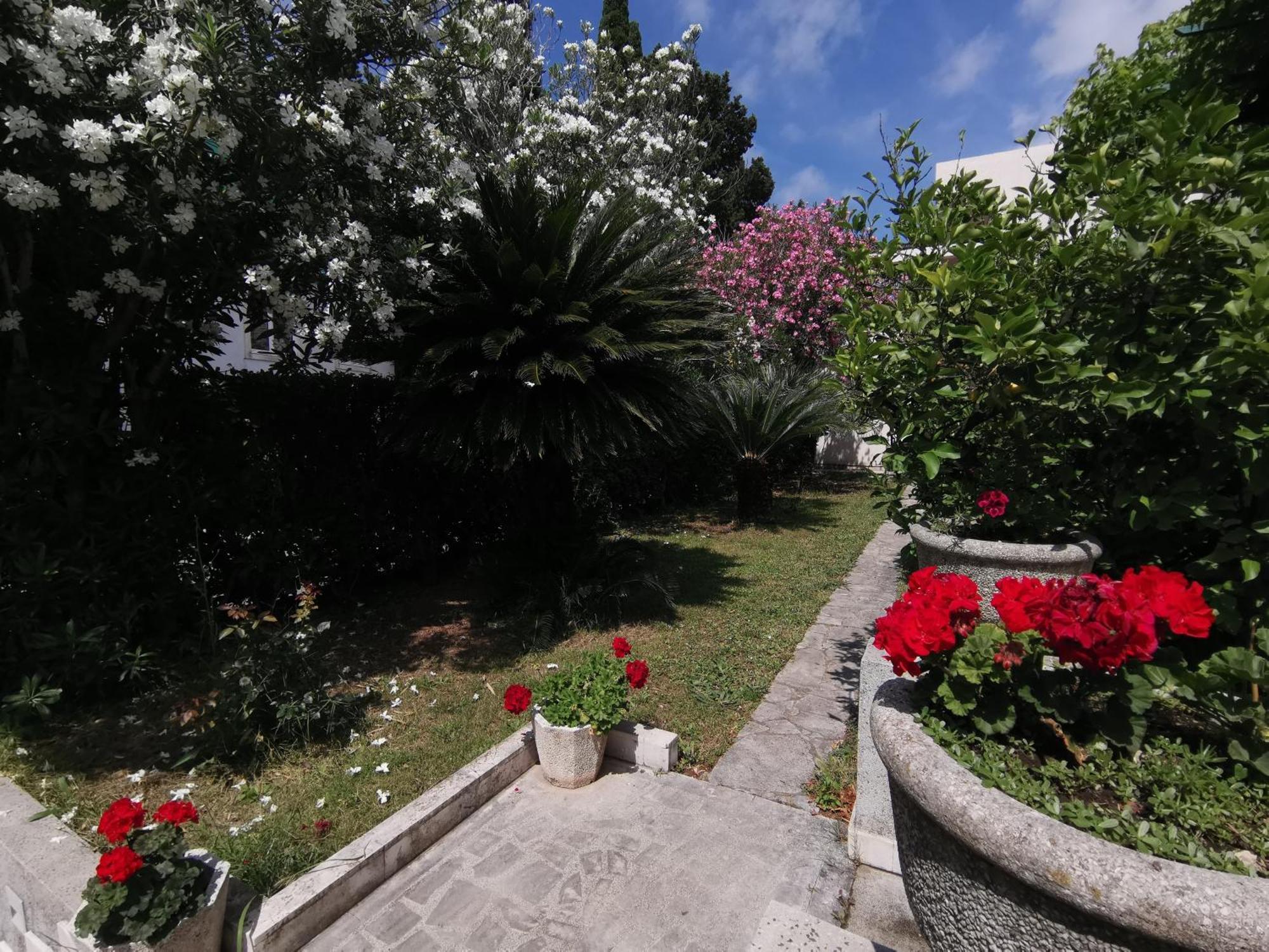 Apartments Maris Garden Petrovac Exteriér fotografie