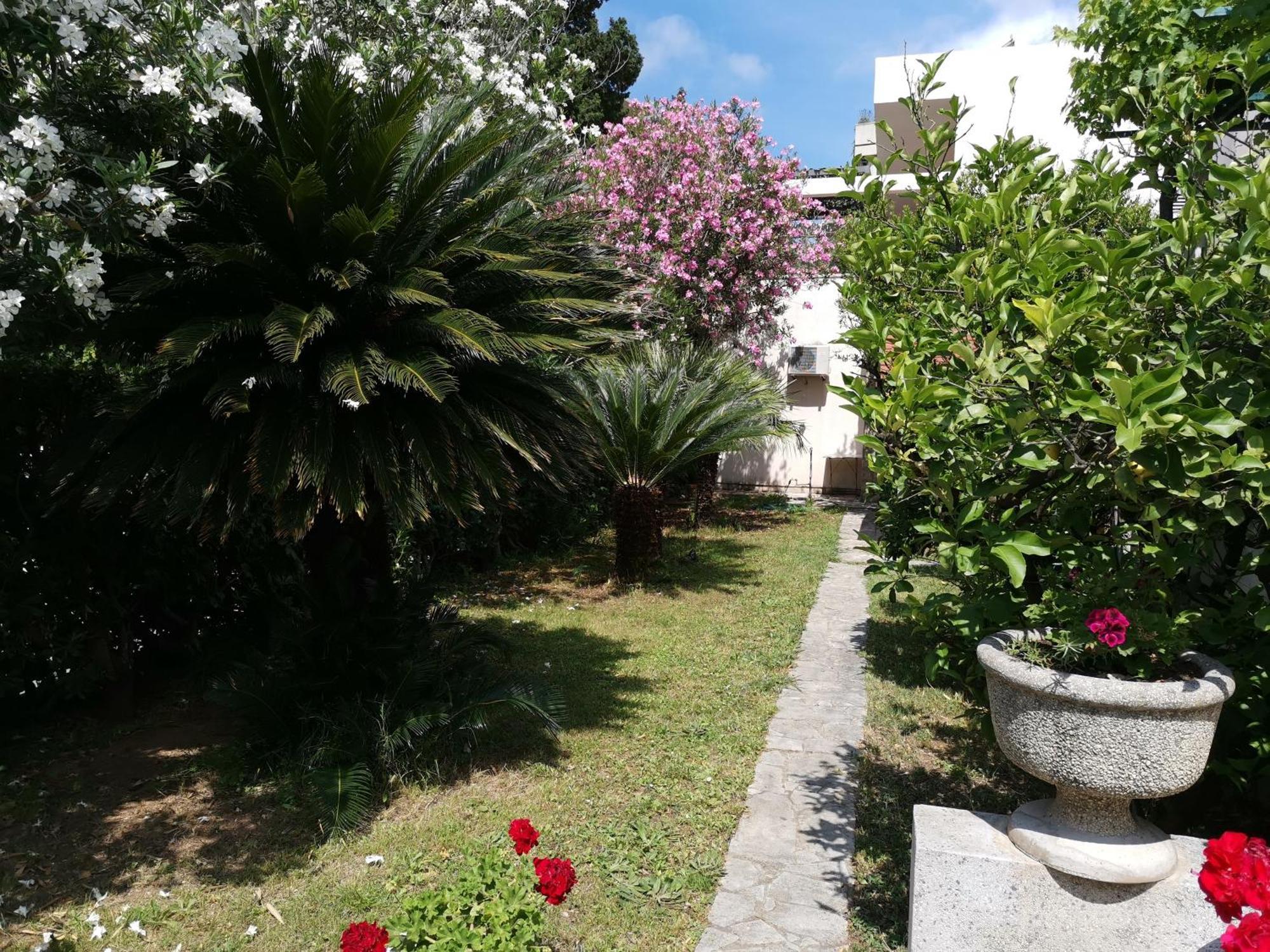 Apartments Maris Garden Petrovac Exteriér fotografie
