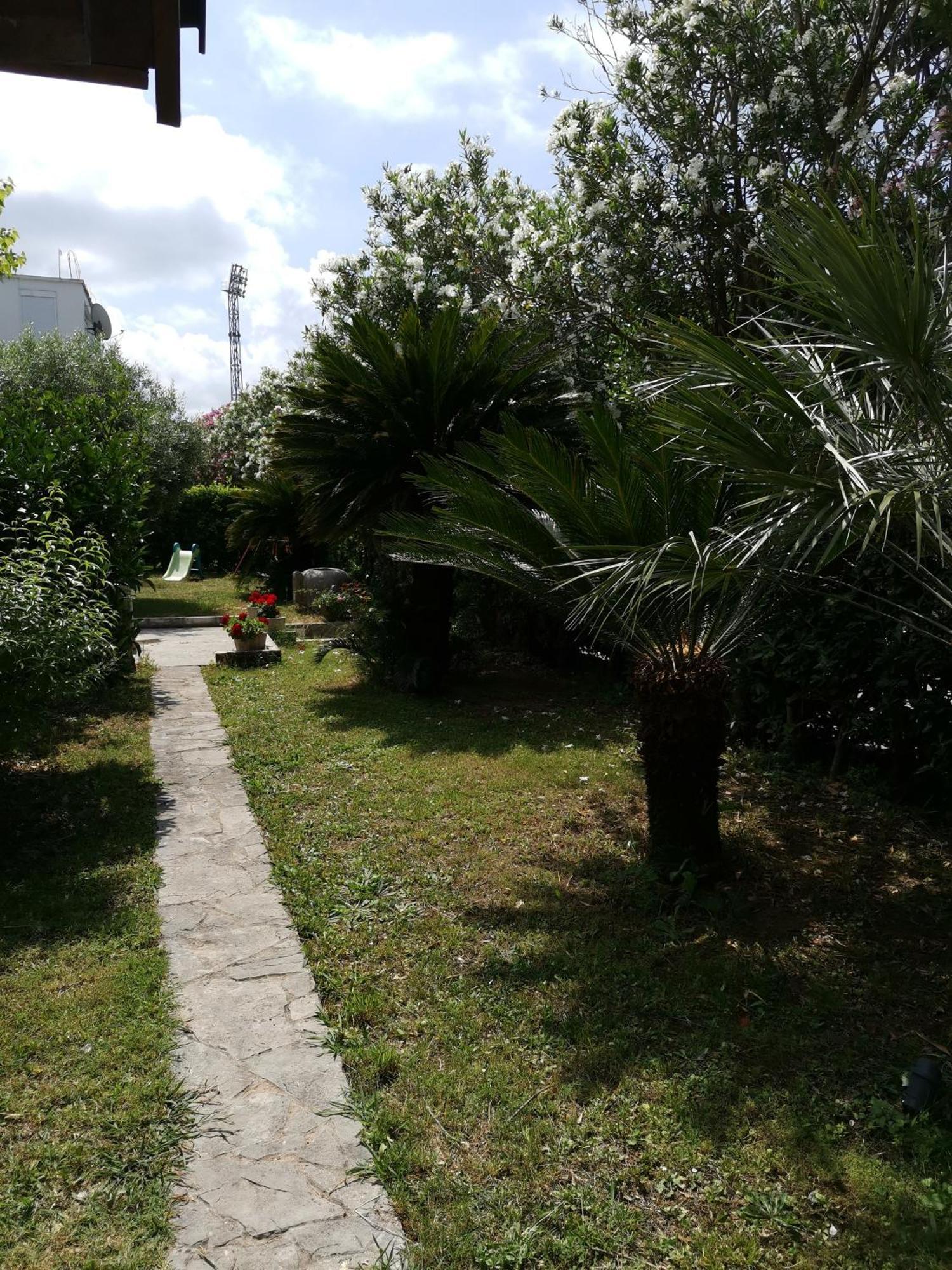 Apartments Maris Garden Petrovac Exteriér fotografie