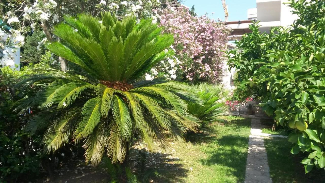 Apartments Maris Garden Petrovac Exteriér fotografie